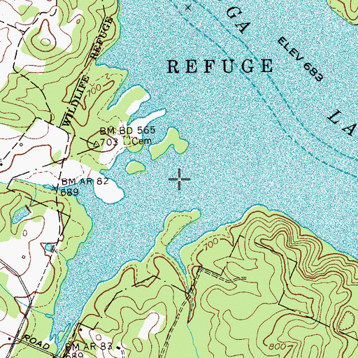 Topographic Map of Lick Branch, TN