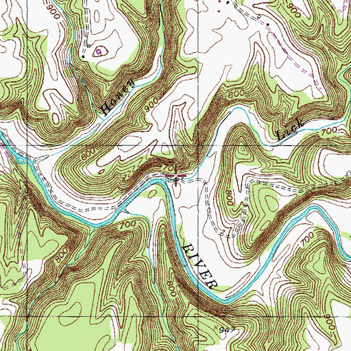 Topographic Map of Lick Branch, TN