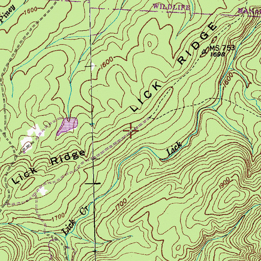 Topographic Map of Lick Ridge, TN