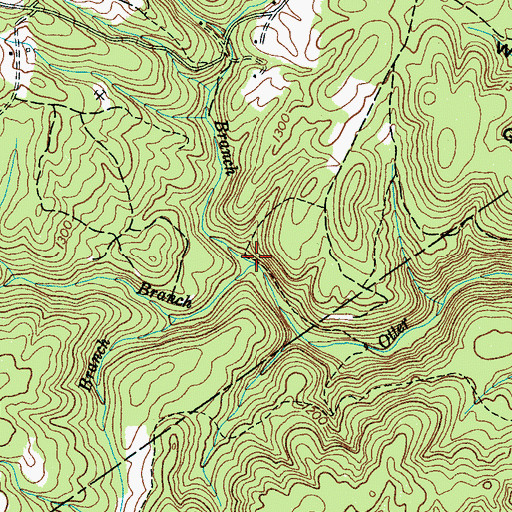 Topographic Map of Licklog Branch, TN