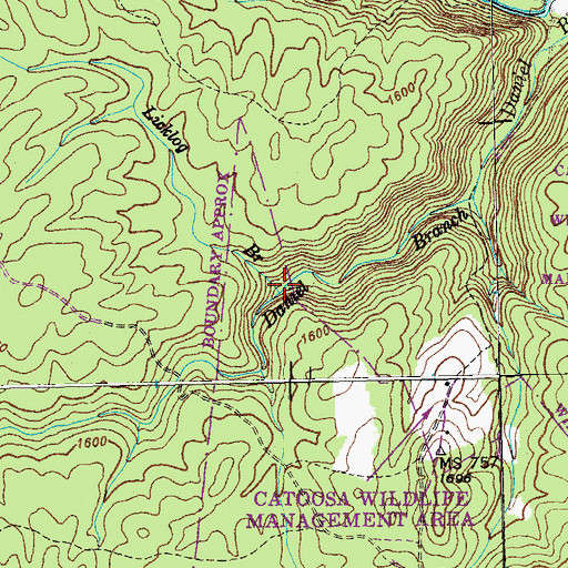 Topographic Map of Licklog Branch, TN