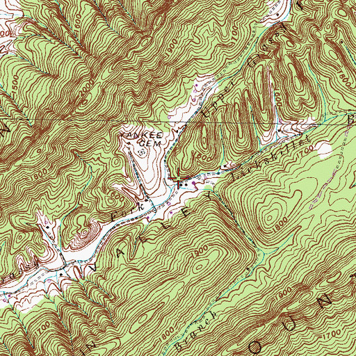 Topographic Map of Lickskillet Branch, TN