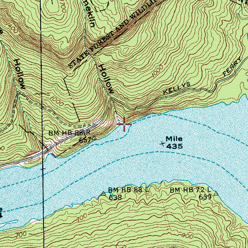 Topographic Map of Limekiln Hollow, TN