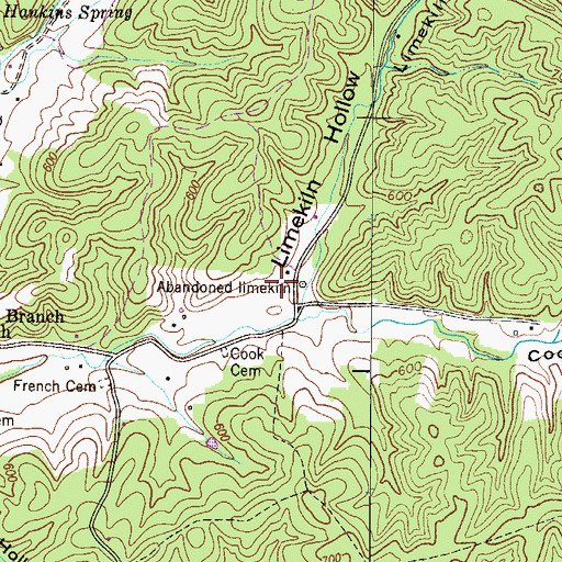 Topographic Map of Limekiln Hollow, TN