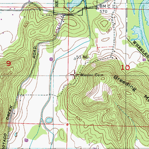 Topographic Map of Winton Cemetery, AL