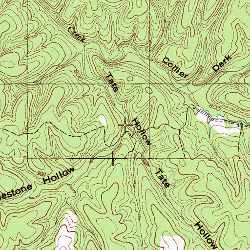 Topographic Map of Limestone Hollow, TN