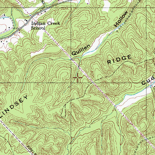 Topographic Map of Lindsey Ridge, TN