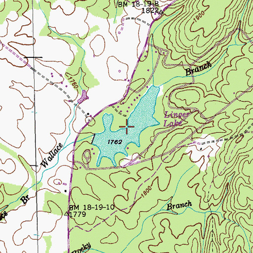 Topographic Map of Linger Lake, TN