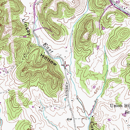 Topographic Map of Linsey Hollow, TN