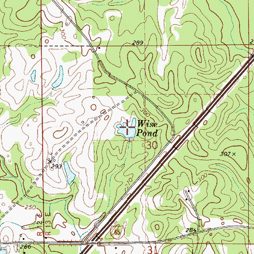 Topographic Map of Wise Pond, AL