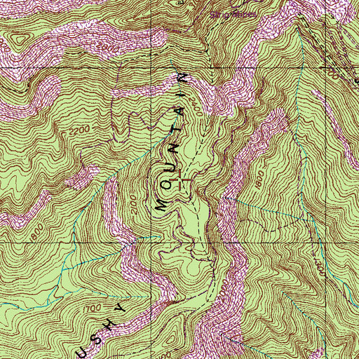 Topographic Map of Little Brushy Mountain, TN