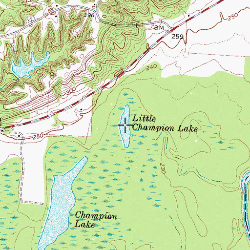 Topographic Map of Little Champion Lake, TN