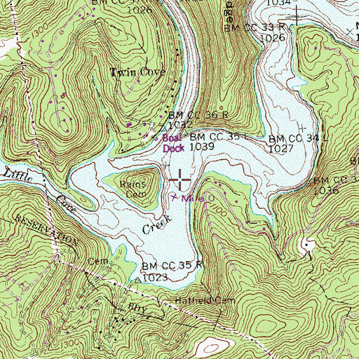 Topographic Map of Little Cove Creek, TN