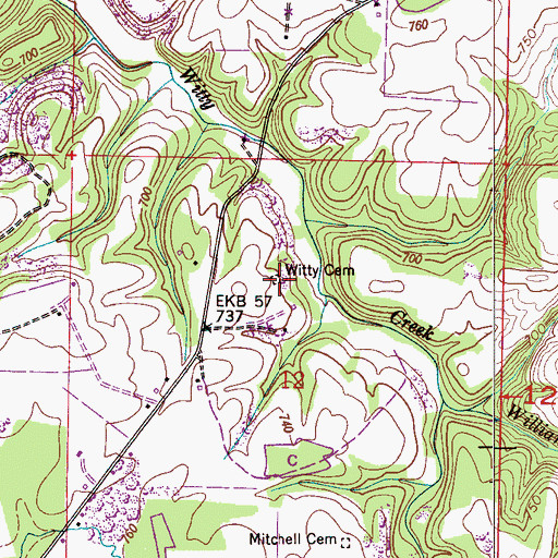 Topographic Map of Witty Cemetery, AL