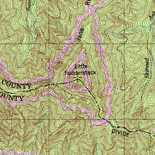 Topographic Map of Little Fodderstack, TN