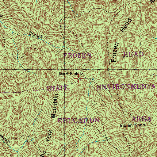 Topographic Map of Little Fork Mountain, TN