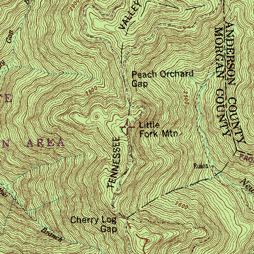 Topographic Map of Little Fork Mountain, TN