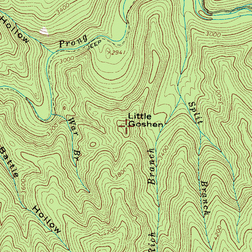 Topographic Map of Little Goshen, TN