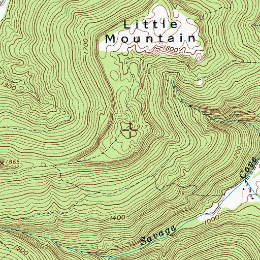 Topographic Map of Little Mountain, TN