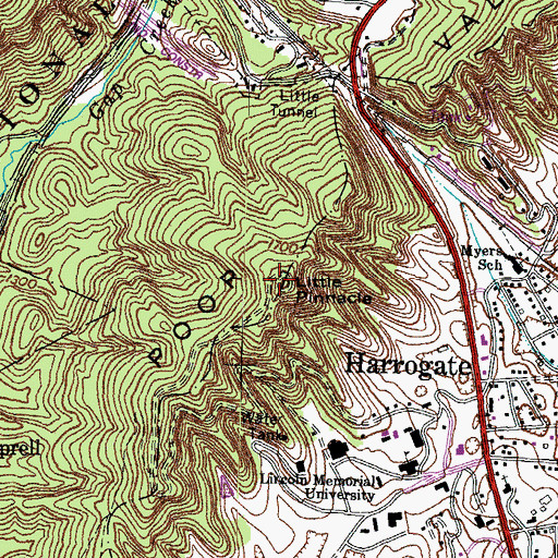 Topographic Map of Little Pinnacle, TN