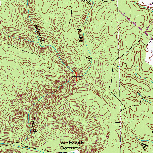 Topographic Map of Little Rocky Branch, TN