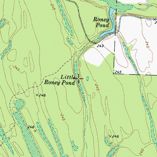 Topographic Map of Little Roney Pond, TN