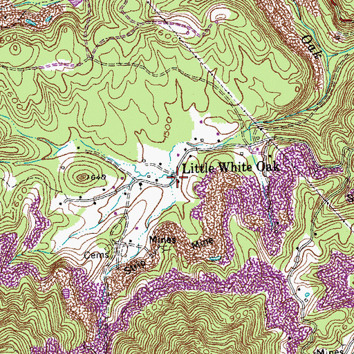 Topographic Map of Little White Oak, TN