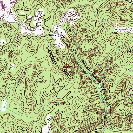 Topographic Map of Litton Hill, TN