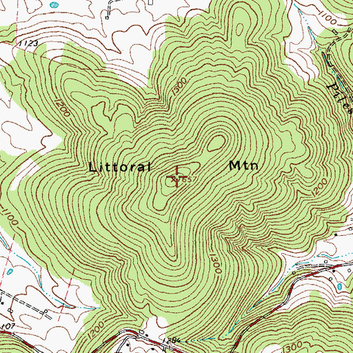 Topographic Map of Littoral Mountain, TN