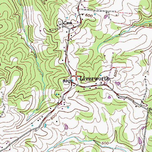 Topographic Map of Liverworth, TN