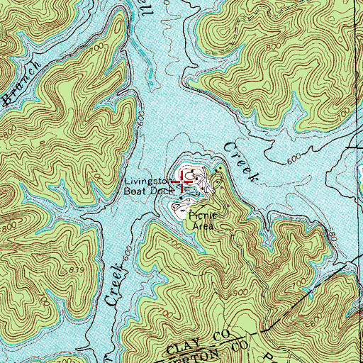 Topographic Map of Livingston Boat Dock, TN