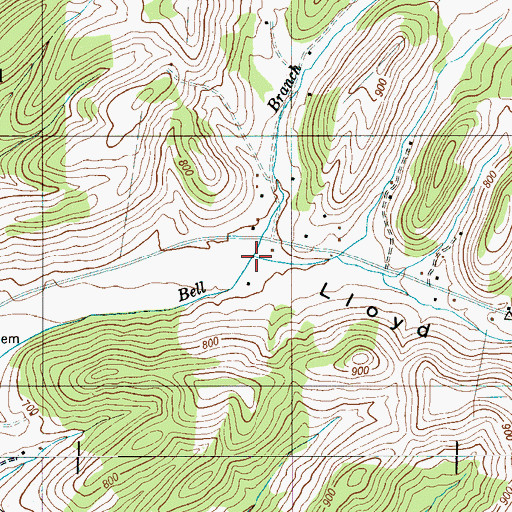 Topographic Map of Lloyd Hollow, TN