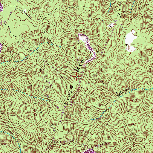 Topographic Map of Lloyd Mountain, TN