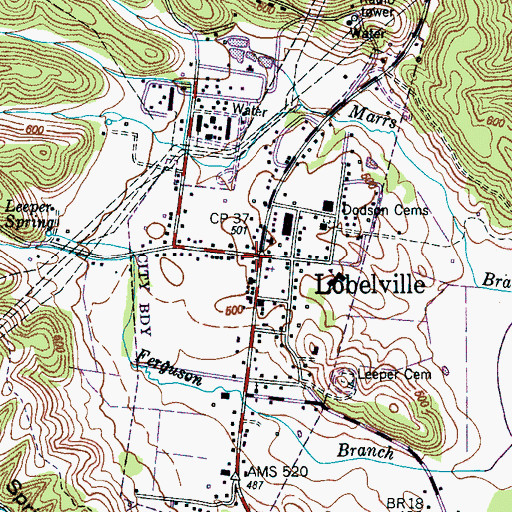Topographic Map of Lobelville, TN