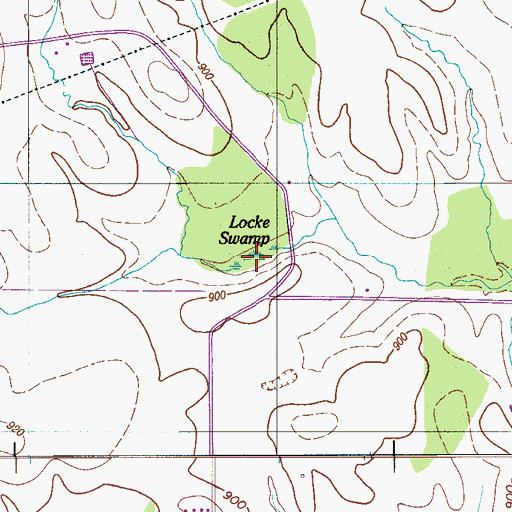 Topographic Map of Locke Swamp, TN
