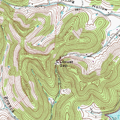 Topographic Map of Locust Gap, TN