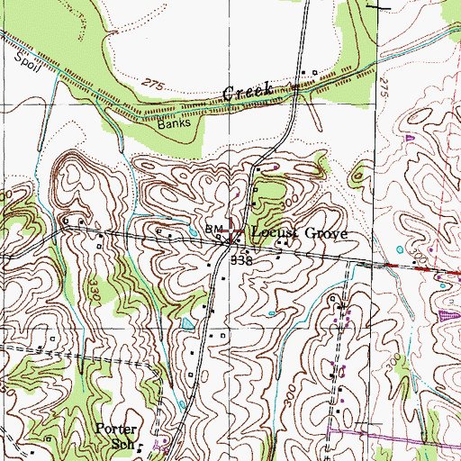 Topographic Map of Locust Grove, TN