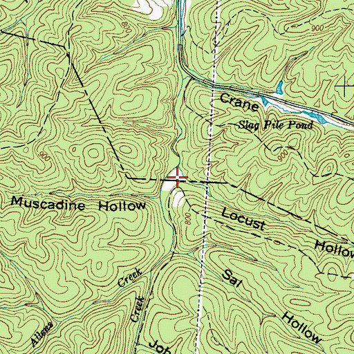 Topographic Map of Locust Hollow, TN
