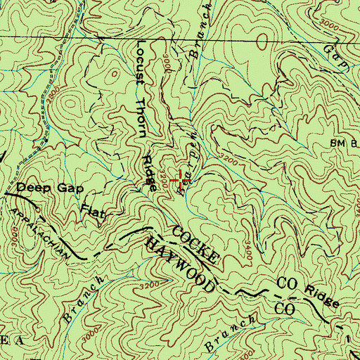 Topographic Map of Locust Thorn Ridge, TN