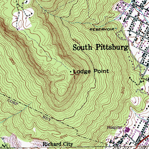 Topographic Map of Lodge Point, TN