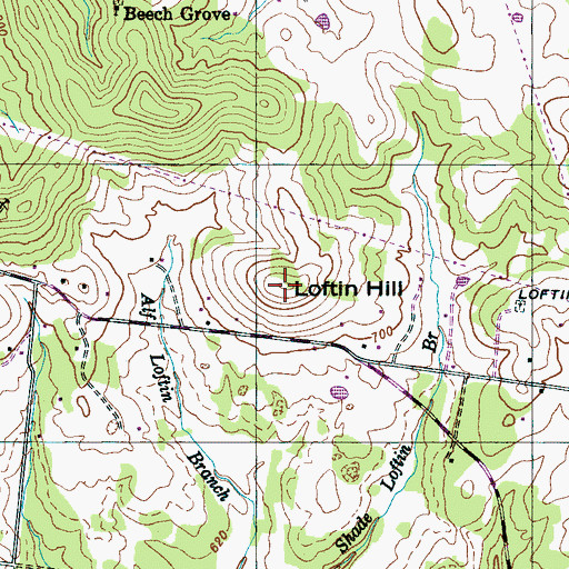 Topographic Map of Loftin Hill, TN