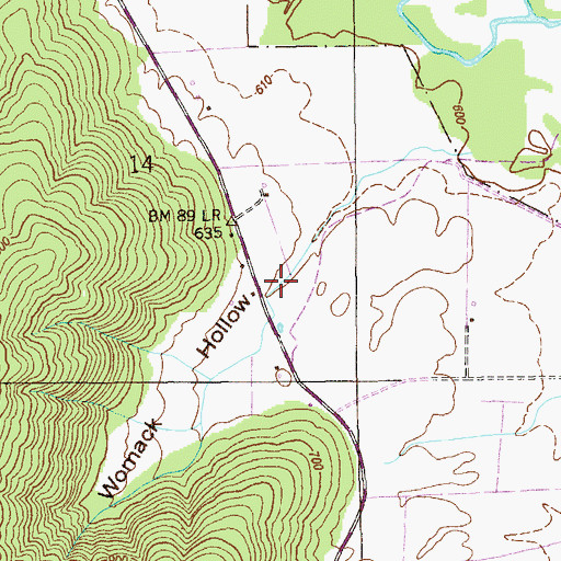 Topographic Map of Womack Hollow, AL