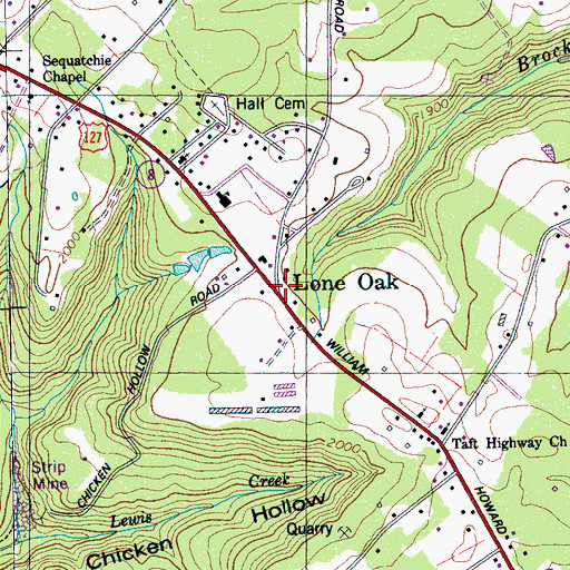 Topographic Map of Lone Oak, TN