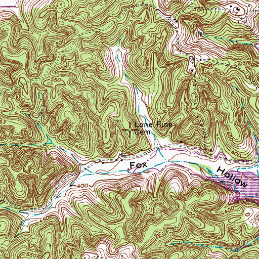 Topographic Map of Lone Pine Cemetery, TN