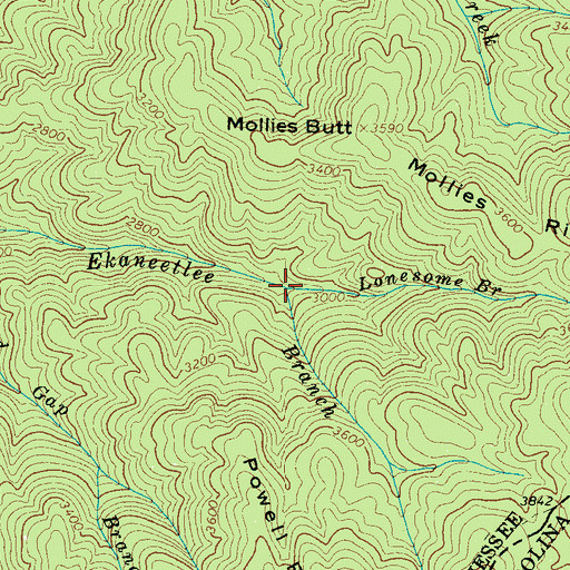 Topographic Map of Lonesome Branch, TN