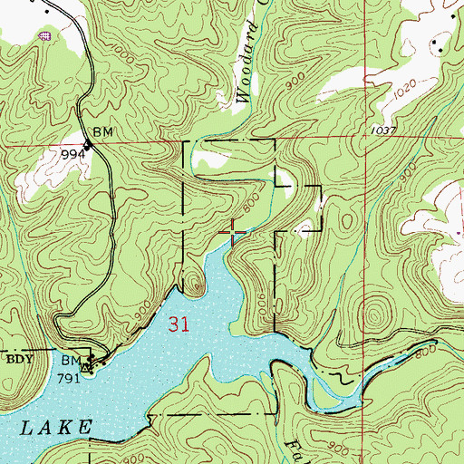 Topographic Map of Woodard Creek, AL