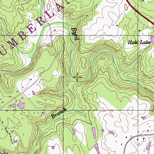 Topographic Map of Long Branch, TN