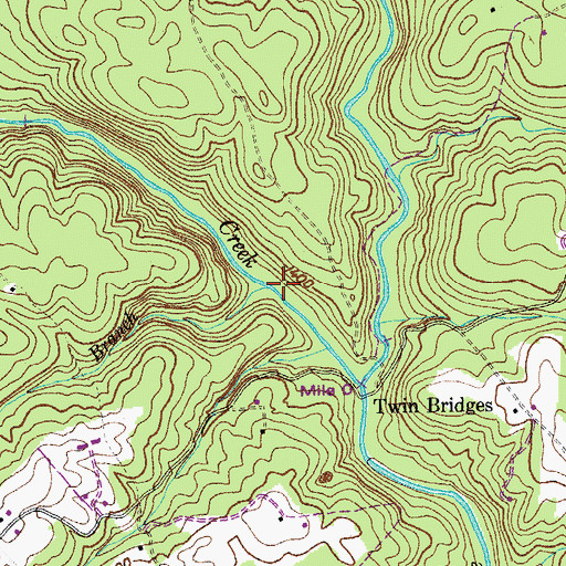 Topographic Map of Long Branch, TN