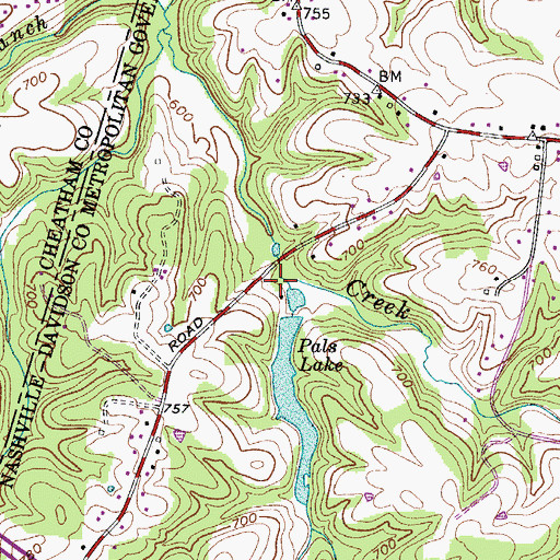 Topographic Map of Long Branch, TN