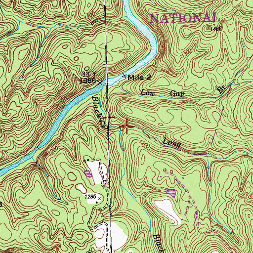 Topographic Map of Long Branch, TN